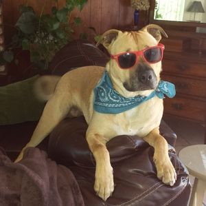 Meet your Posher, Beverly